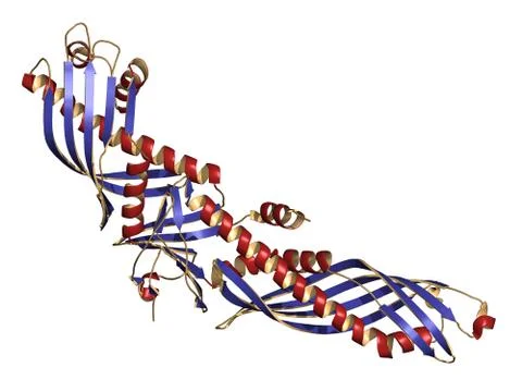 Cholesteryl ester transfer protein (cetp). potential drug target in atheroscl Stock Illustration