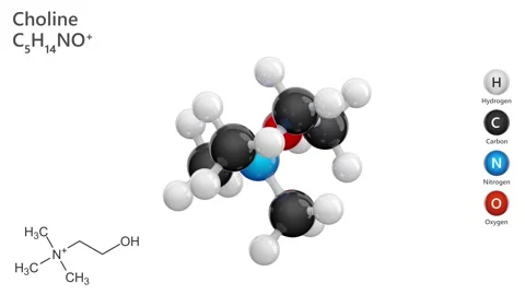 Choline. Essential nutrient. 3D model. C5H14NO. White background. 3D render Stock Footage 294699528