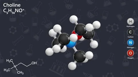 Choline. Essential nutrient. C5H14NO. Dark background. 3D render 스톡 동영상 289386692