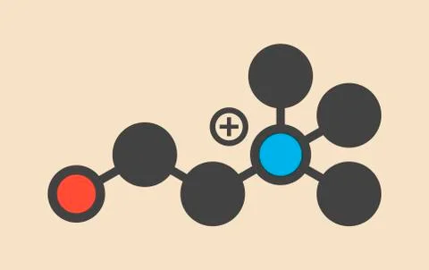 Choline essential nutrient molecule Stock Illustration