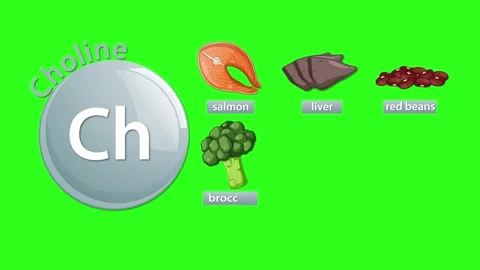 Choline Sources Animation: Salmon, Liver, Beans, Broccoli, Soybeans, Egg Stock Footage 324431319