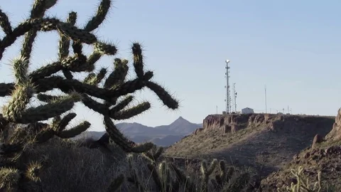 Cholla Cactus and distant scenic canyon mountain landscape with cell phone tower Video stock 80626073