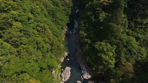 Chomonkyo Gorge clear stream between the deep forest  ,aerial Stock Footage 108135810