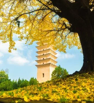 Chongsheng Temple Stock Photos