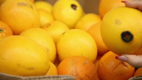 Choose oranges on the market Stock Footage 72375324