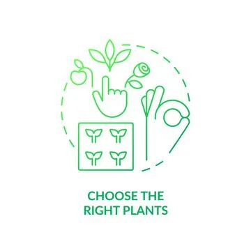 Choose right plants green gradient concept icon Ilustração Stock