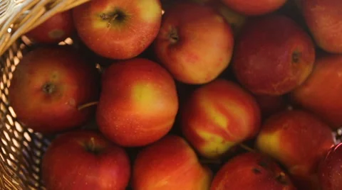Choosing and buying apples at the store Stock Footage 68628491