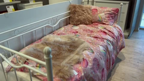 Choosing A Baby Bed In A Store Stock Footage 208663631