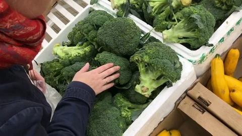Choosing broccoli at the grocery store Stock Footage 83048661