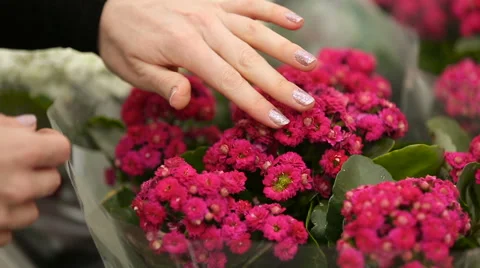 Choosing flower bouquet Stock Footage 62807416