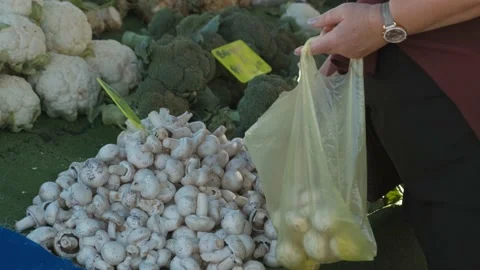Choosing fresh mushroom Stock Footage 168266147