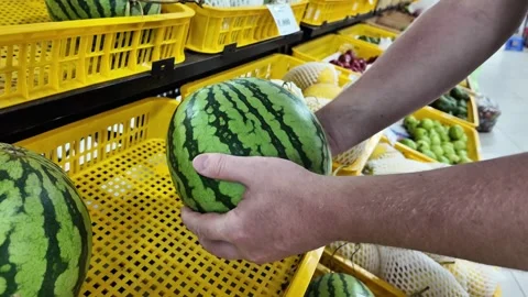 Choosing Fresh Watermelon in Grocery Store Stock Footage 263336806