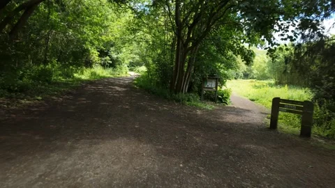 Choosing the left path, then walking through the thick forest Stock Footage 338306094