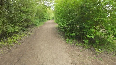 Choosing the upper path - Crown Lakes, Woodland Walk Stock Footage 335458681