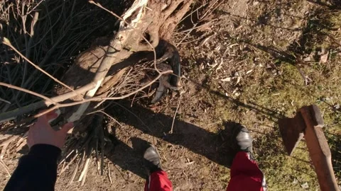 Chop With An Ax Stock Footage 189900944