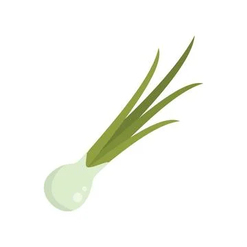 Chop chive icon flat vector. Chinese onion Illustrazione stock