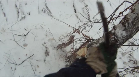 Chop down tree 1 動画素材 952773