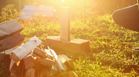 Chop wood Vídeo Stock 45861614