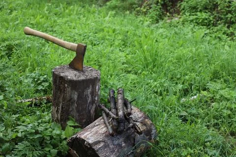 Chop wood Stock Photos