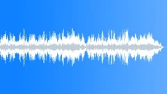 Chopin Piano Andante Spianato in E-flat major, Op. 22 (2:49)Stock Music