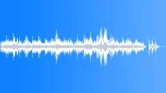 Chopin Prelude Op28 No4Stock Music