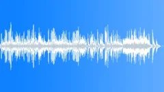 Chopin Sonata No. 3 in B minor, Op. 58 - 3. Largo (2:16) Stock Music