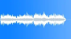 Chopin Waltz in C# Minor Op64 No2 Stock Music