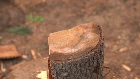 Choping wood with a chopper – Slo-Mo video with 120 fps Stock Footage 114567336