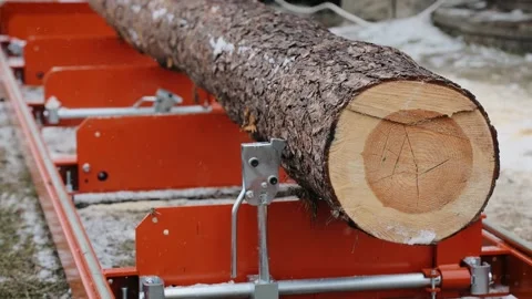 The chopped and sawn trunk tree on sawmill machine is ready for cutting to the Stock Footage 164868780