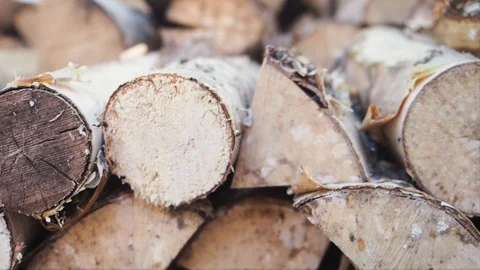 The chopped and sawn trunks of trees is stacked in a large log woodpile in room. Stock Footage 128902764