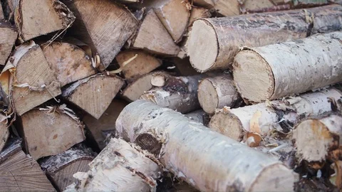 The chopped and sawn trunks of trees is stacked in a large log woodpile in room. Stock Footage 128902790