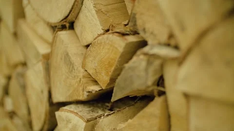 The chopped and sawn trunks of trees Stock Footage 130851812