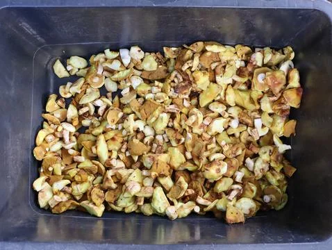 Chopped apples in a container ready for cooking or processing on a kitchen Stock Photos