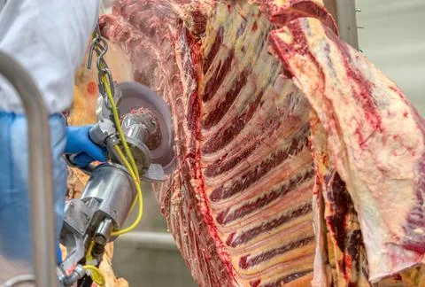 Chopped beef carcasses. Stock Photos