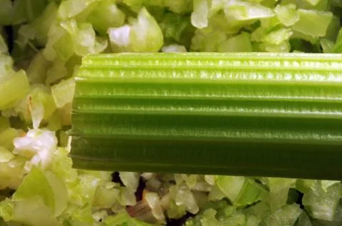 Chopped celery for the soffritto Stock Photos