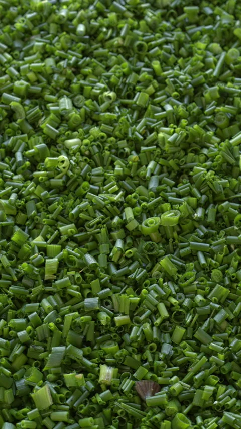 Chopped chives  background texture. Selective focus. Vertical video. Video stock 310433229