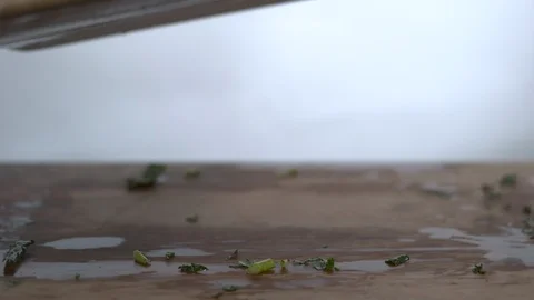 Chopped collard greens falling on chopping board in slow motion Stock Footage 100009516