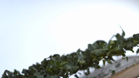 Chopped collard greens falling in slow motion on chopping board Stock Footage 100009473