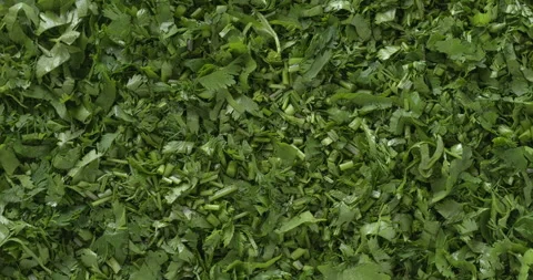 Chopped coriander background texture. Stock Footage 312329755