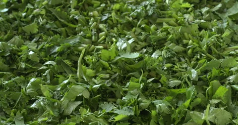 Chopped coriander background texture. Shallow depth of focus. Video stock 312869090