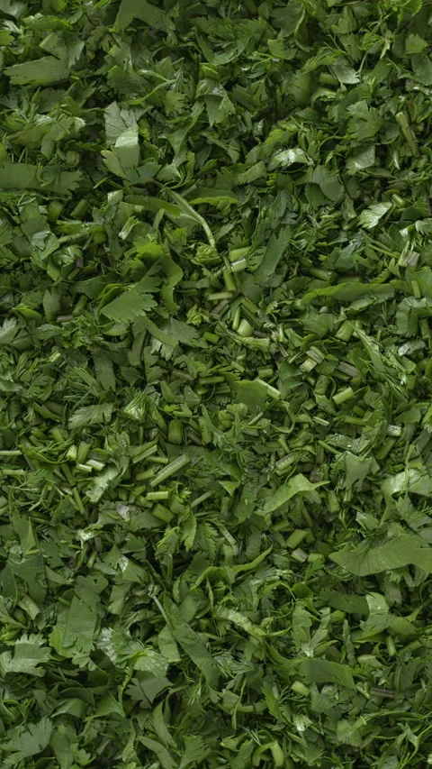 Chopped coriander background texture.  Vertical video. Stock Footage 312329724