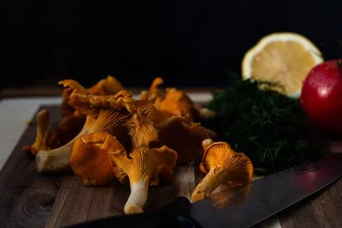 Chopped dill and vegetables 库存照片