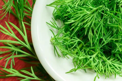 Chopped dill Stock Photos