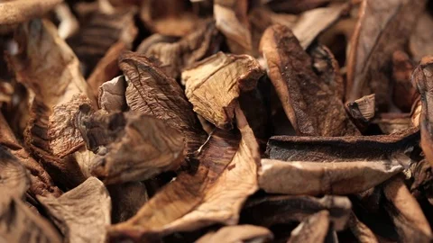 Chopped dried mushrooms as background Vídeo Stock 97644607