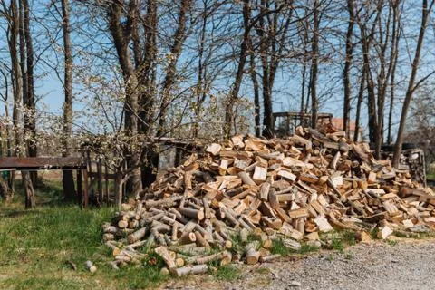 Chopped firewood from different species of trees. Stock Photos