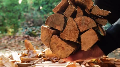 Chopped firewood . stack of firewood in a mas hands.Heating season Stock Footage 320841461