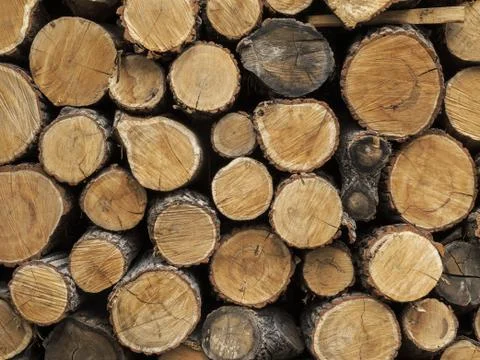 Chopped firewood in a stack. Stock Photos