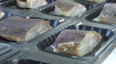 Chopped fish on the assembly line. Vacuum packing fish Video stock 24954715