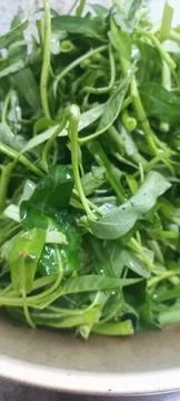 Chopped fresh kale #2 Stock Photos