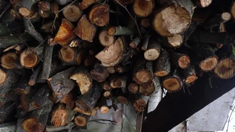 Chopped fruit firewood for heating the house Stock Footage 325518552
